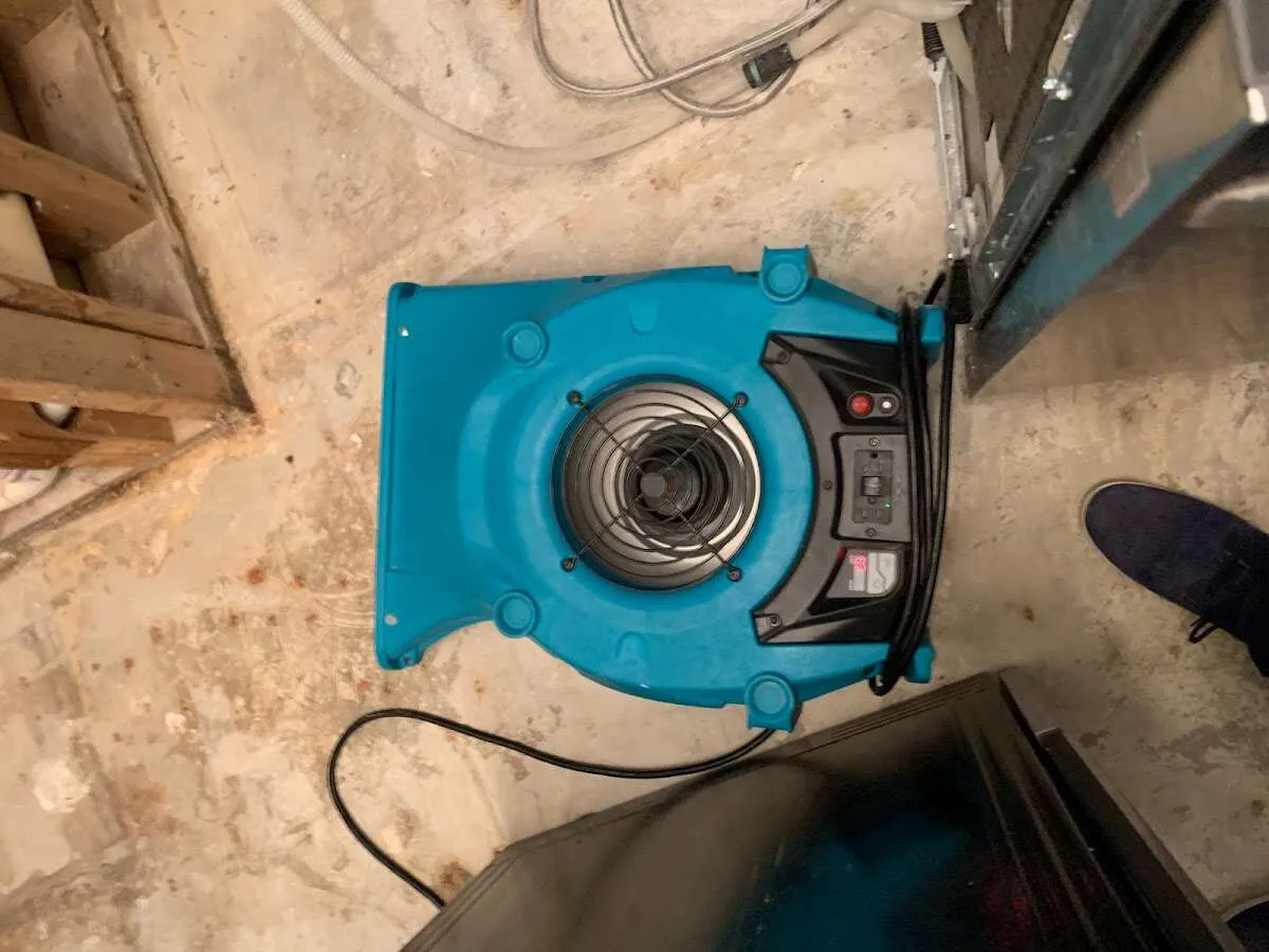 Air mover drying equipment for Mold Remediation & Removal in Garwood